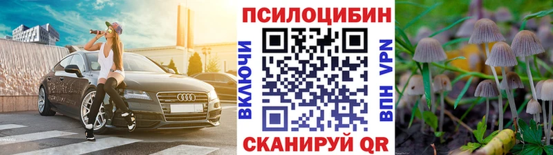 ссылка на мегу зеркало  Сатка  Псилоцибиновые грибы мицелий 