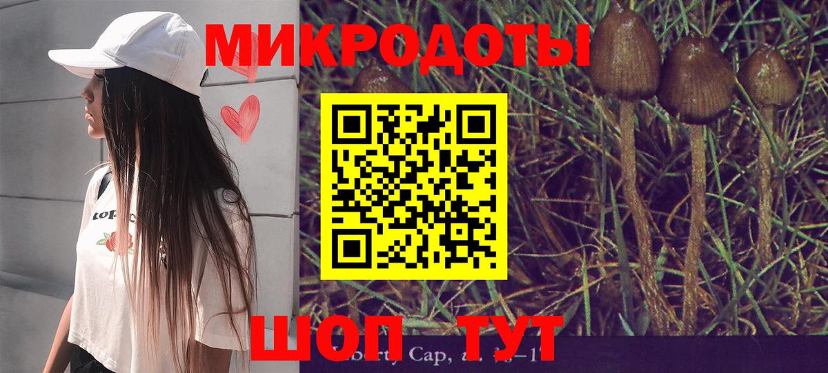 Галлюциногенные грибы Psilocybine cubensis  Вход с VPN  где найти наркотики  Сатка 